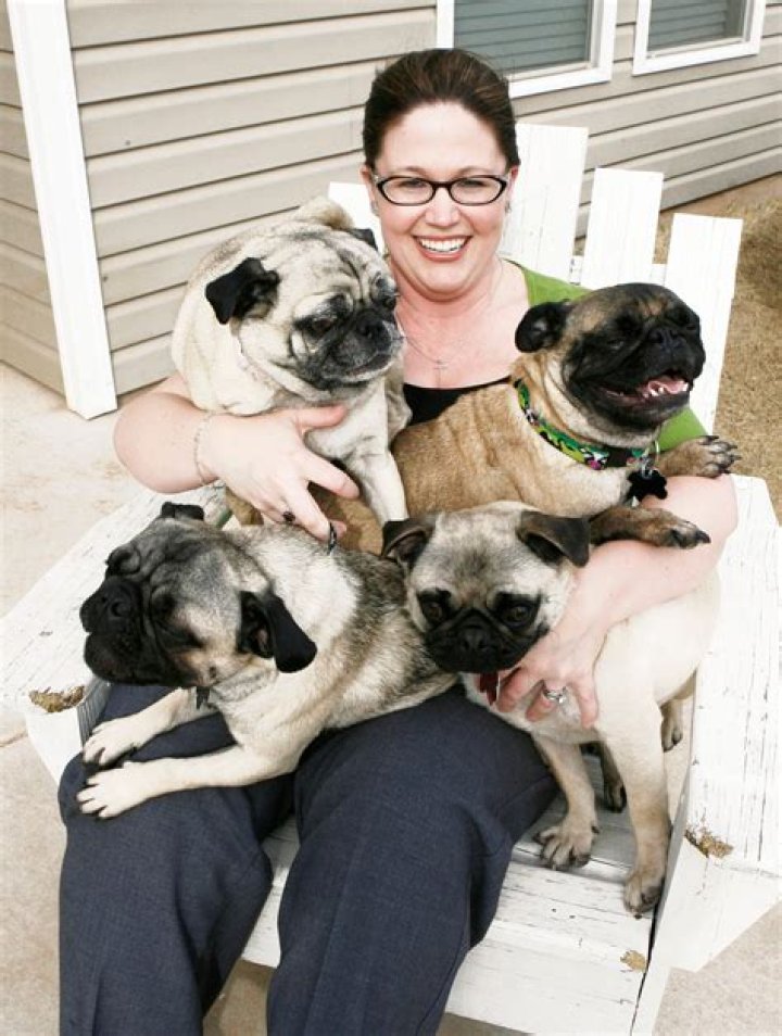 Do pugs like hugs?