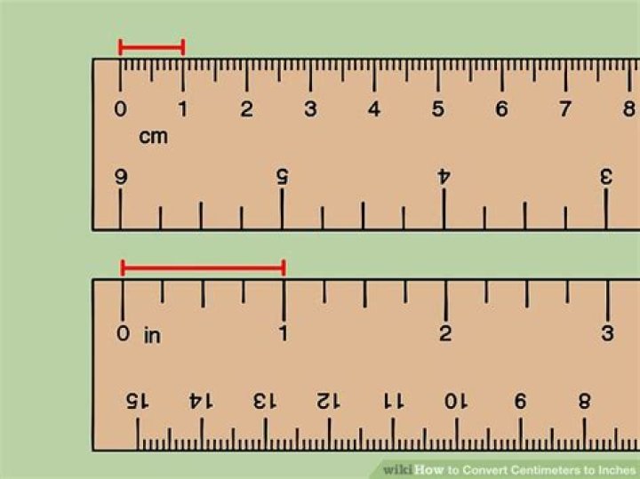 How big is a centimeter on a ruler?