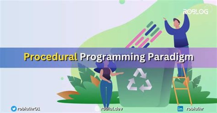 What do you understand by procedural programming paradigm?